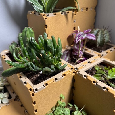 Mini ogrody - Gallery